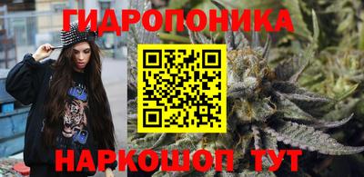 сатива Будённовск