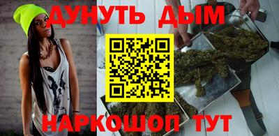 сатива Будённовск