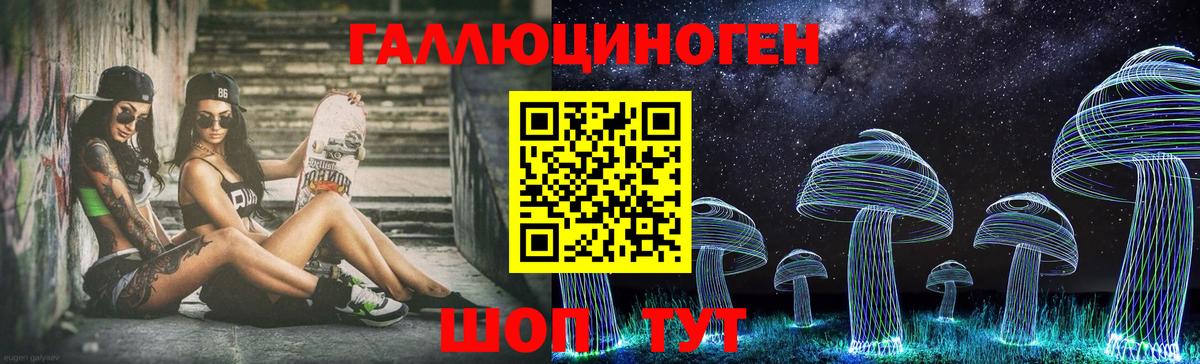 Сегежа  Галлюциногенные грибы Psilocybine cubensis  Вход с VPN 